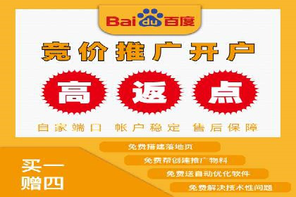 百度竞价推广运营实战技巧与经典案例剖析